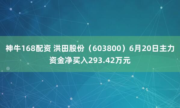 神牛168配资 洪田股份（603800）6月20日主力资金净买入293.42万元