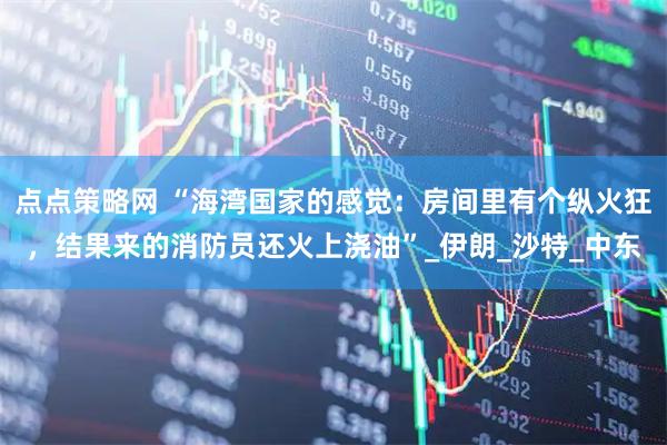 点点策略网 “海湾国家的感觉：房间里有个纵火狂，结果来的消防员还火上浇油”_伊朗_沙特_中东